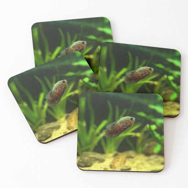 Item preview, Something Fishy! designed and sold by NS22 fashions.