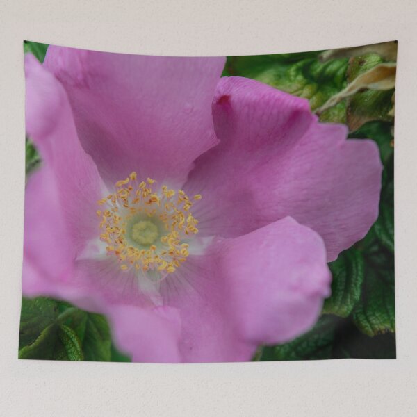 Item preview, Dutch Rose designed and sold by Imbeccable Images.