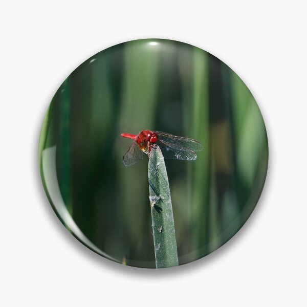 Item preview, Dragonfly I designed and sold by Andreas Koerner.