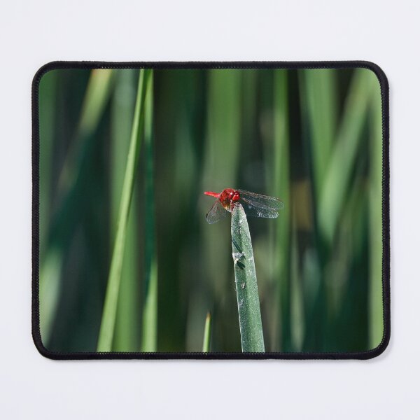 Item preview, Dragonfly I designed and sold by Andreas Koerner.