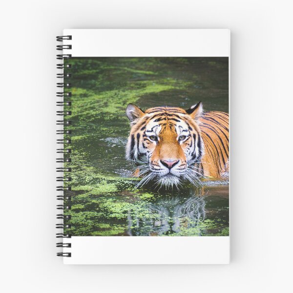 Item preview, Tiger designed and sold by LatiendaShop.