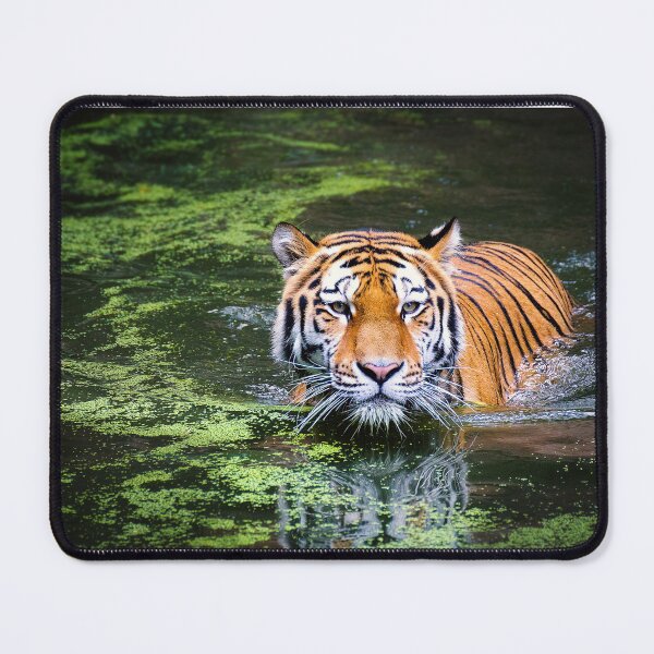Item preview, Tiger designed and sold by LatiendaShop.