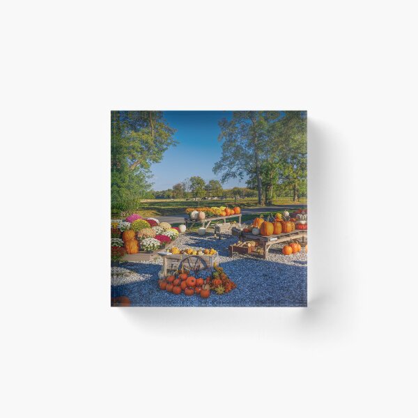 Item preview, Pennsylvanian Pumpkins designed and sold by Viv Thompson Photography .