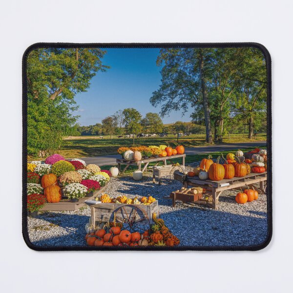 Item preview, Pennsylvanian Pumpkins designed and sold by Viv Thompson Photography .
