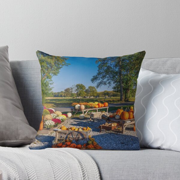 Item preview, Pennsylvanian Pumpkins designed and sold by Viv Thompson Photography .