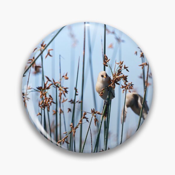 Item preview, Bearded Tit designed and sold by Andreas Koerner.