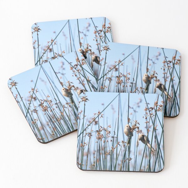 Item preview, Bearded Tit designed and sold by Andreas Koerner.