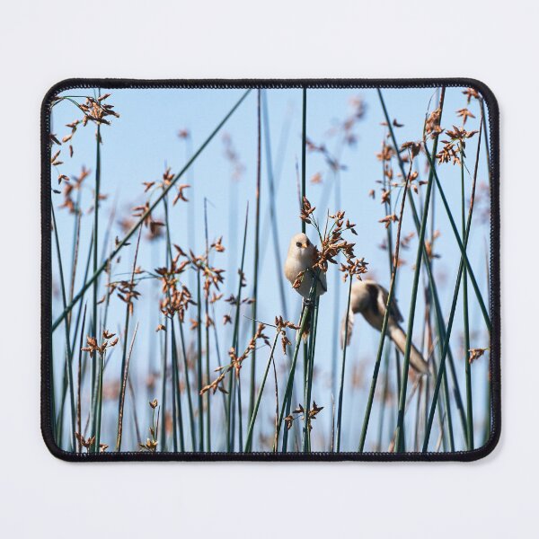 Item preview, Bearded Tit designed and sold by Andreas Koerner.