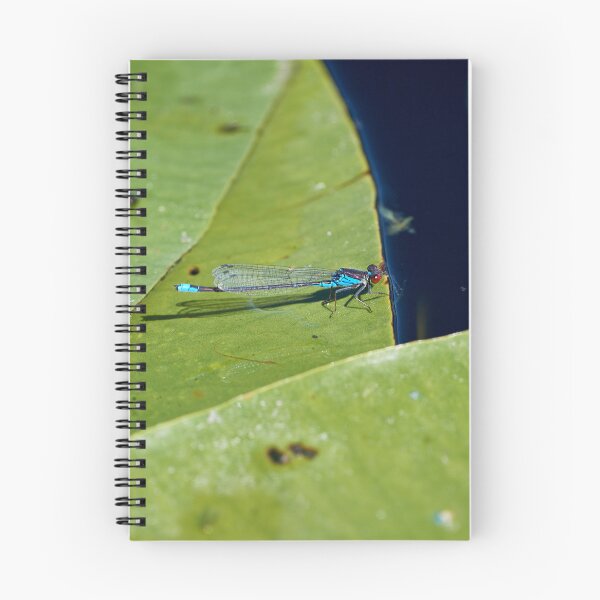 Item preview, Dragonfly II designed and sold by Andreas Koerner.