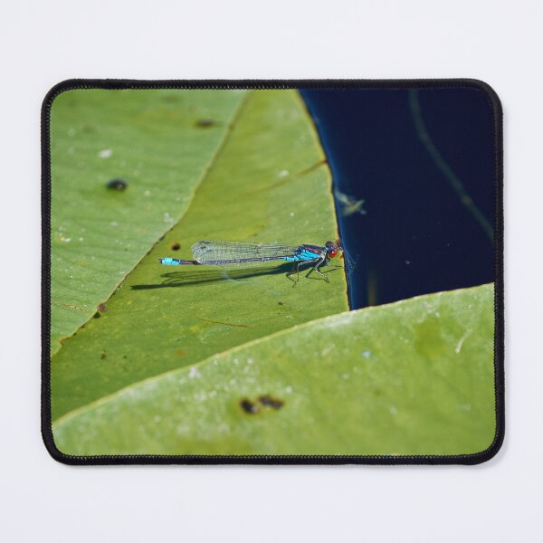 Item preview, Dragonfly II designed and sold by Andreas Koerner.