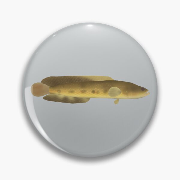 Item preview, Orangespotted Snakehead designed and sold by fishfolkart.