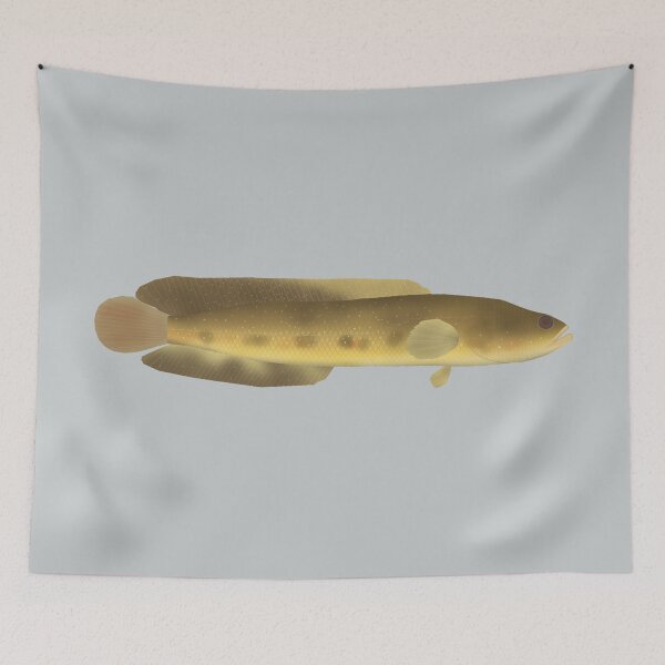 Item preview, Orangespotted Snakehead designed and sold by fishfolkart.
