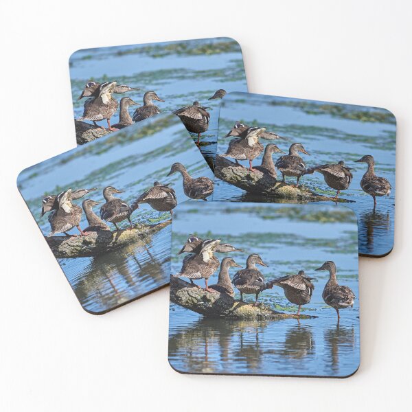 Item preview, Mallard (Anasplat rhynchos) designed and sold by Andreas Koerner.