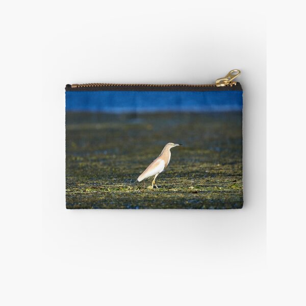 Item preview, Garcilla cangrejera (Ardeola ralloides) designed and sold by Andreas Koerner.