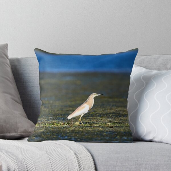 Item preview, Squacco heron (Ardeola ralloides) designed and sold by Andreas Koerner.