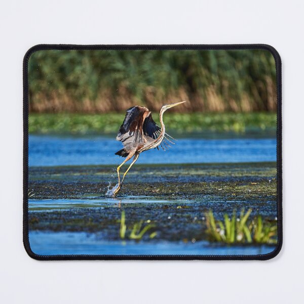 Item preview, Take off designed and sold by Andreas Koerner.