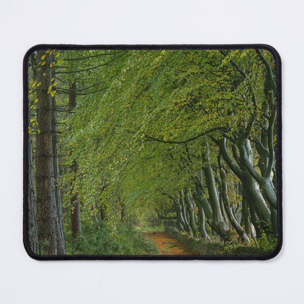 Item preview, Autumn colours Upper Moor in the Derbyshire Dales. designed and sold by RobThorley.