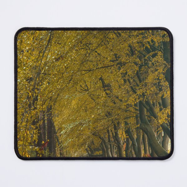 Item preview, Autumn colours Upper Moor in the Derbyshire Dales. designed and sold by RobThorley.