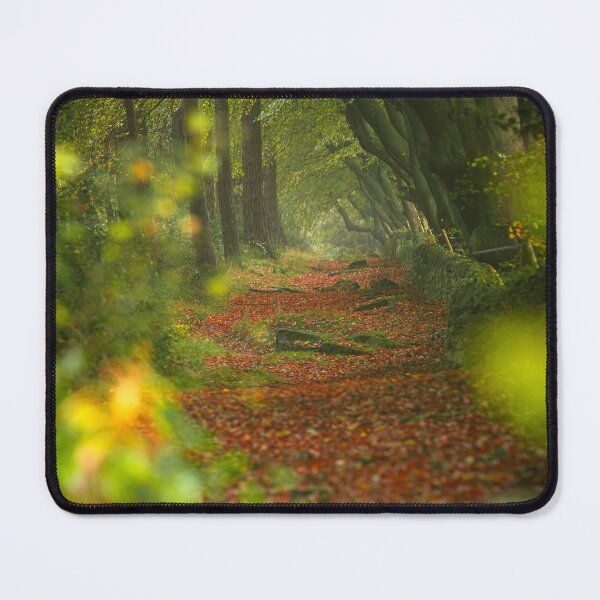 Item preview, Autumn colours Upper Moor in the Derbyshire Dales. designed and sold by RobThorley.