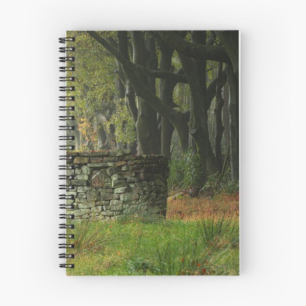 Item preview, A misty autumn morning at Upper Moor. designed and sold by RobThorley.