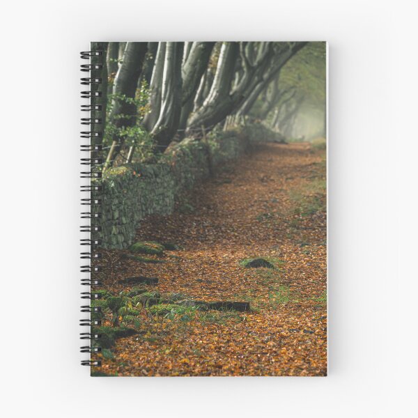Item preview, A misty autumn morning at Upper Moor. designed and sold by RobThorley.