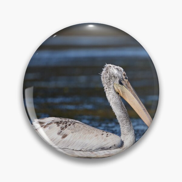 Item preview, Dalmatian Pleican (Pelecanus crispus) designed and sold by Andreas Koerner.