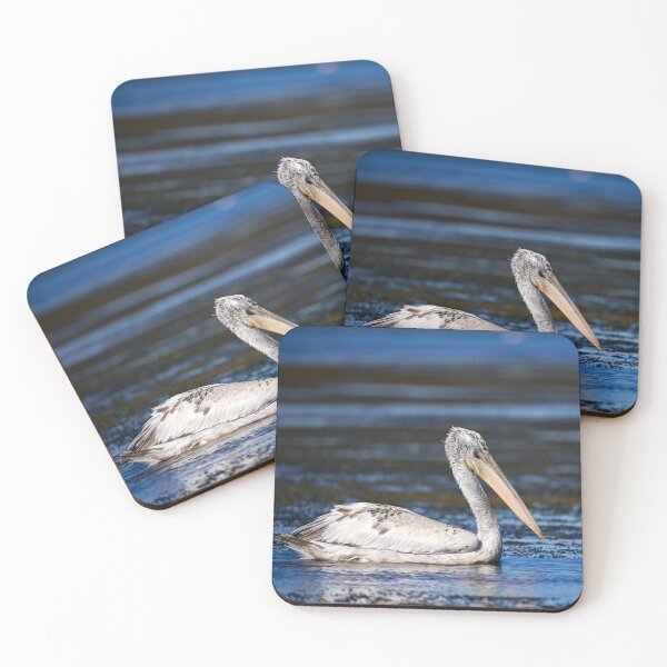 Item preview, Dalmatian Pleican (Pelecanus crispus) designed and sold by Andreas Koerner.