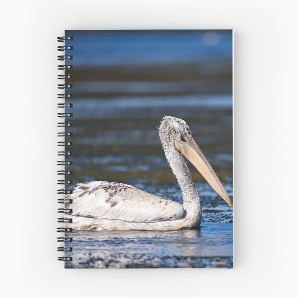 Item preview, Dalmatian Pleican (Pelecanus crispus) designed and sold by Andreas Koerner.