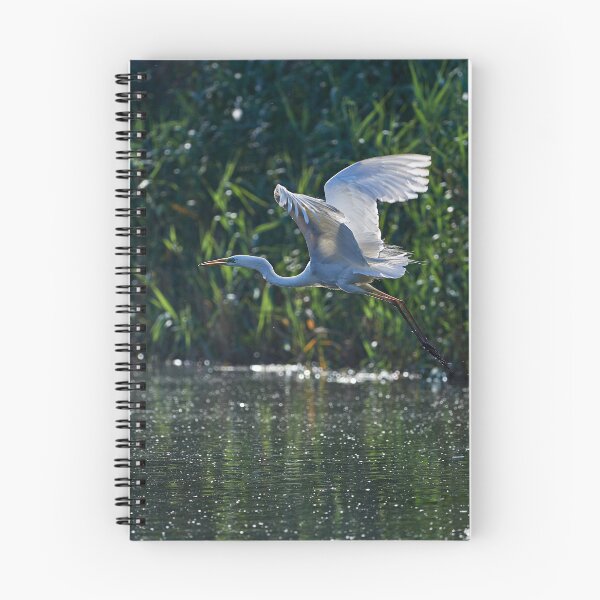 Item preview, Great Egret (Ardea Alba) designed and sold by Andreas Koerner.