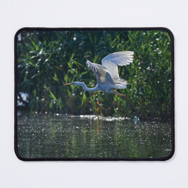 Item preview, Great Egret (Ardea Alba) designed and sold by Andreas Koerner.
