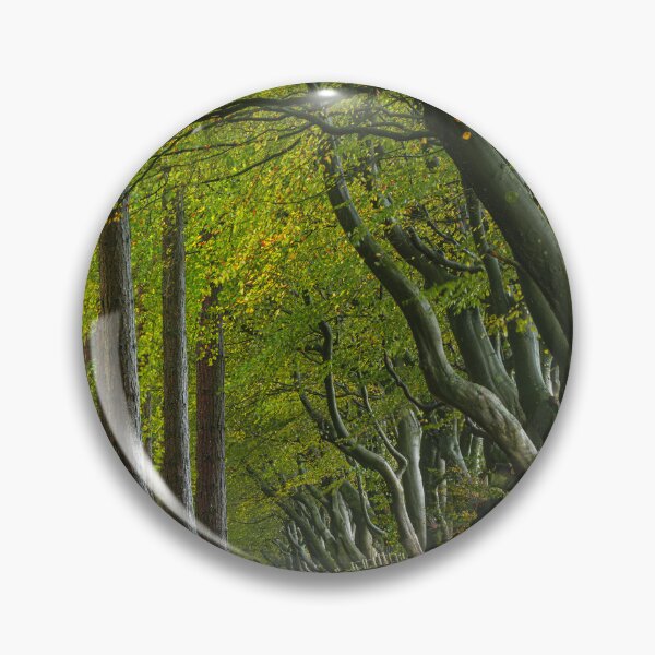 Item preview, Autumn at Upper Moor in the Derbyshire Dales. designed and sold by RobThorley.