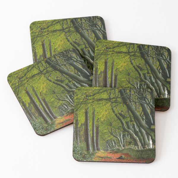 Item preview, Autumn at Upper Moor in the Derbyshire Dales. designed and sold by RobThorley.