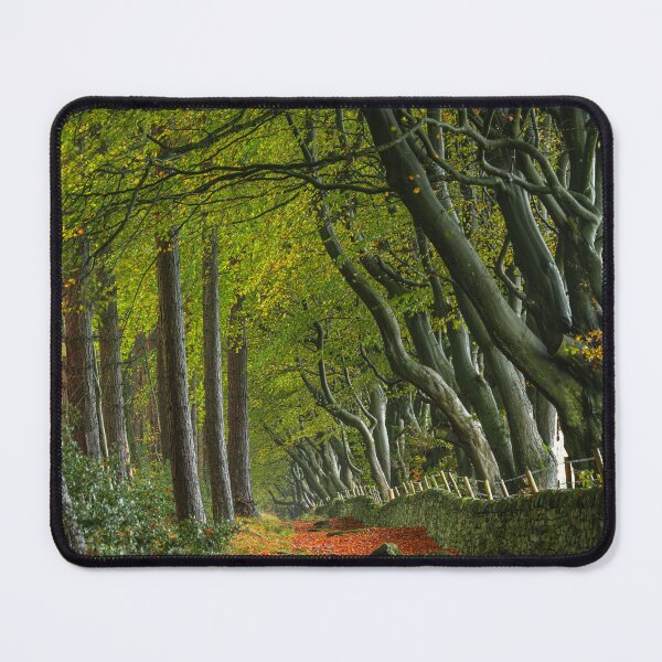Item preview, Autumn at Upper Moor in the Derbyshire Dales. designed and sold by RobThorley.