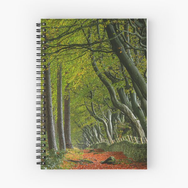 Item preview, Autumn at Upper Moor in the Derbyshire Dales. designed and sold by RobThorley.