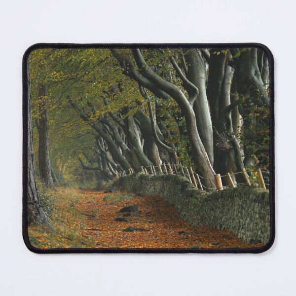Item preview, Autumn at Upper Moor in the Derbyshire Dales. designed and sold by RobThorley.