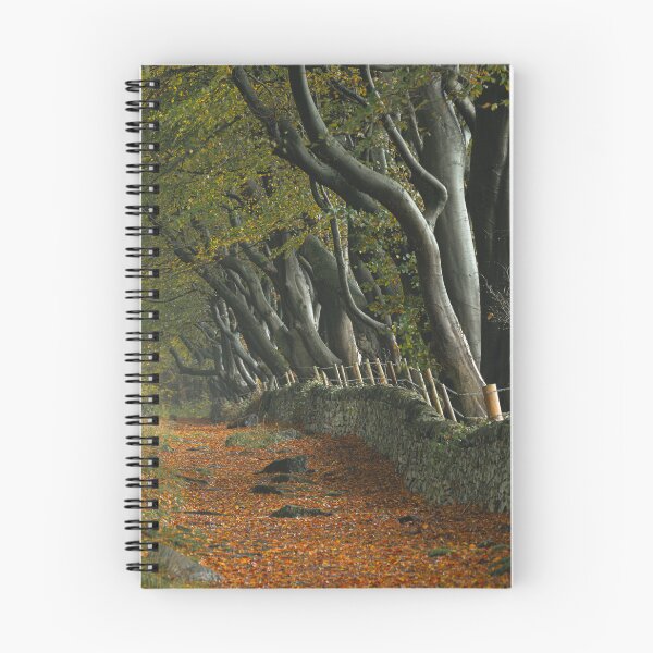 Item preview, Autumn at Upper Moor in the Derbyshire Dales. designed and sold by RobThorley.