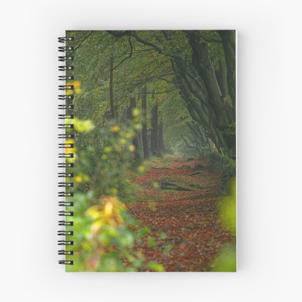 Item preview, Autumn at Upper Moor in the Derbyshire Dales. designed and sold by RobThorley.