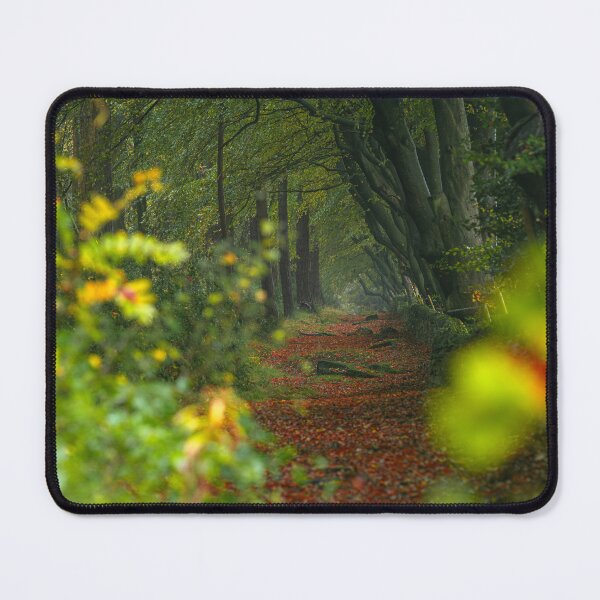 Item preview, Autumn at Upper Moor in the Derbyshire Dales. designed and sold by RobThorley.