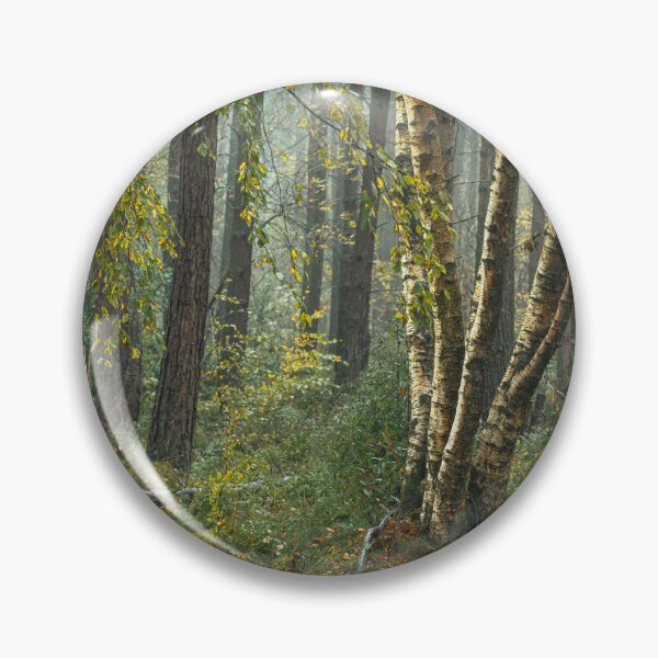 Item preview, Autumn tree and leaf colours at Upper Moor. designed and sold by RobThorley.