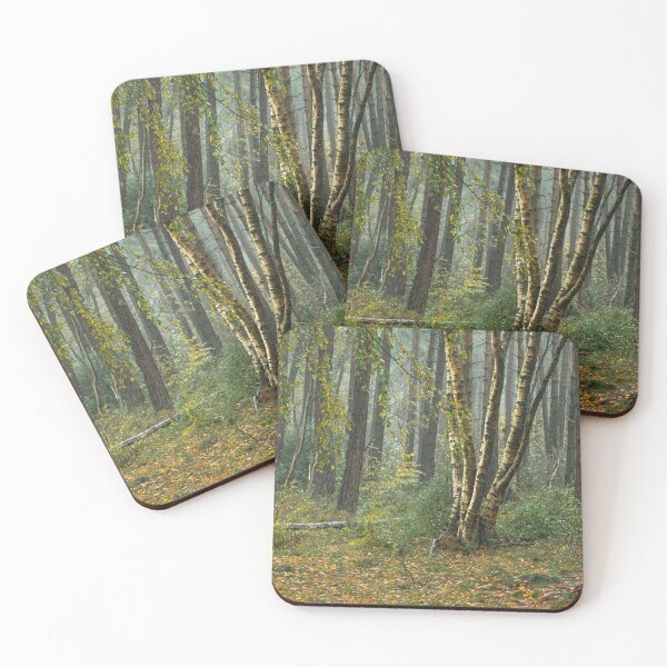 Item preview, Autumn tree and leaf colours at Upper Moor. designed and sold by RobThorley.