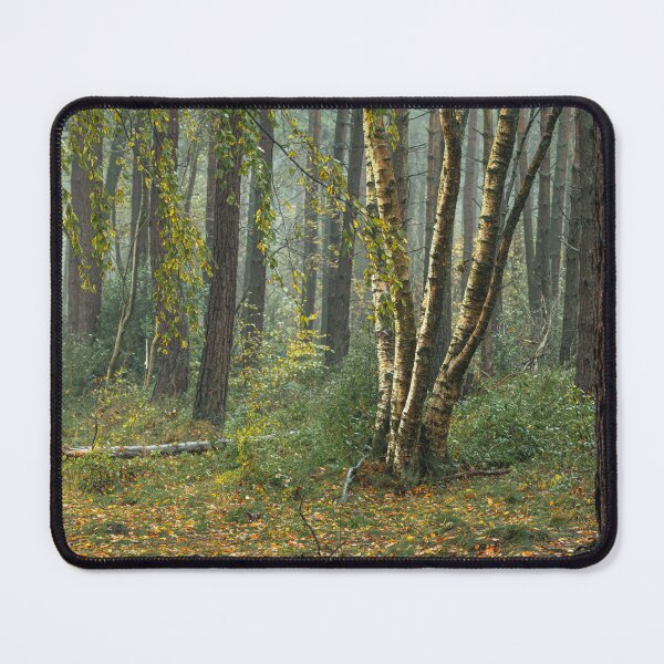 Item preview, Autumn tree and leaf colours at Upper Moor. designed and sold by RobThorley.