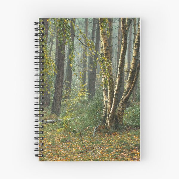 Item preview, Autumn tree and leaf colours at Upper Moor. designed and sold by RobThorley.