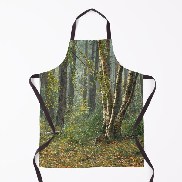 Item preview, Autumn tree and leaf colours at Upper Moor. designed and sold by RobThorley.