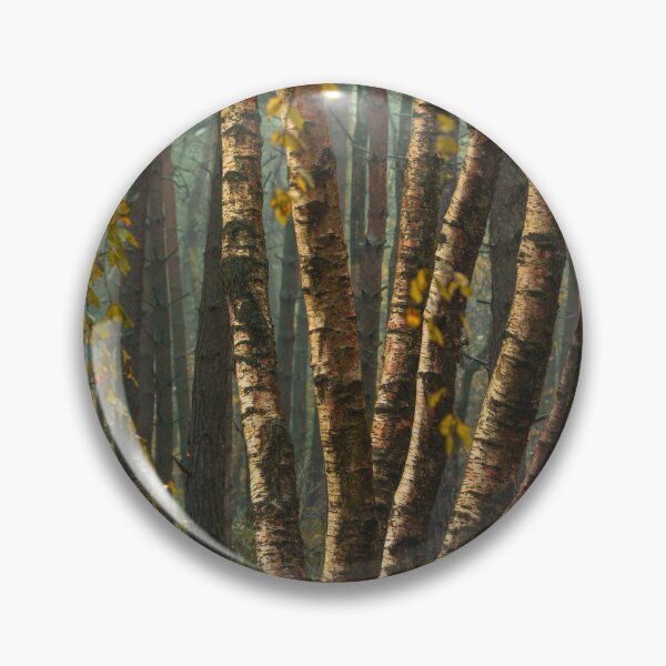 Item preview, Autumn tree and leaf colours at Upper Moor. designed and sold by RobThorley.