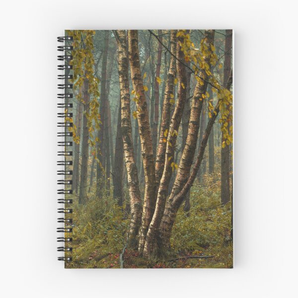 Item preview, Autumn tree and leaf colours at Upper Moor. designed and sold by RobThorley.