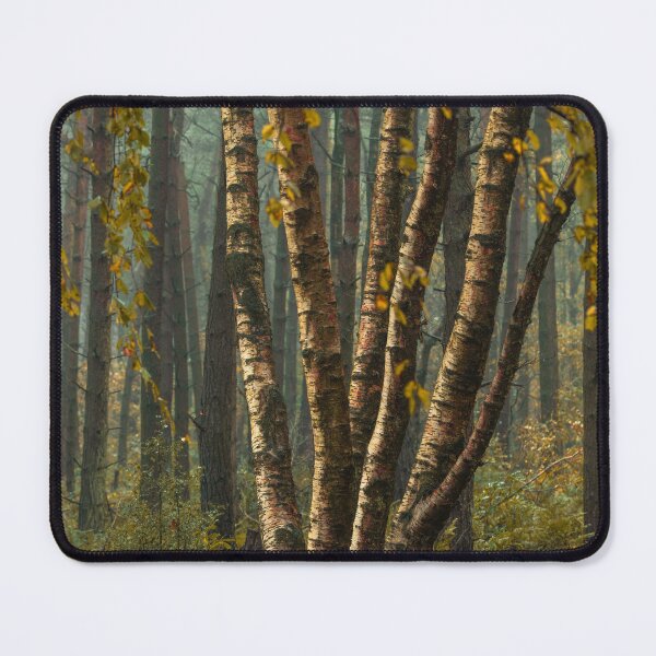 Item preview, Autumn tree and leaf colours at Upper Moor. designed and sold by RobThorley.