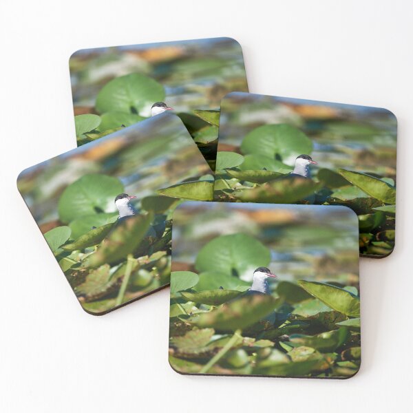 Item preview, Whiskered Tern (Chlidonias hybrida) designed and sold by Andreas Koerner.