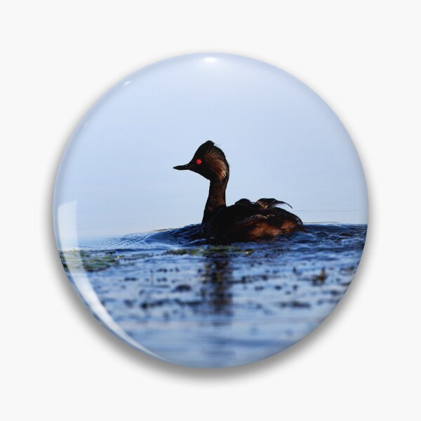 Item preview, Black-necked Grebe (Podiceps nigricollis) designed and sold by Andreas Koerner.