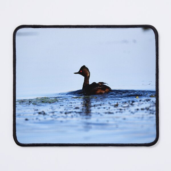 Item preview, Black-necked Grebe (Podiceps nigricollis) designed and sold by Andreas Koerner.