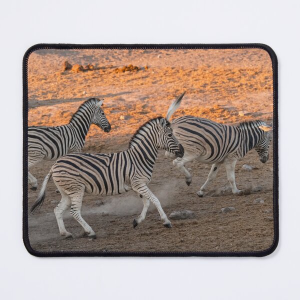 Item preview, Dust & Stripes — Trio of Zebras at Sunset designed and sold by DavideAntoniani.